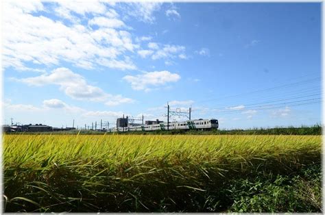 白岡 天気|白岡市, 埼玉県の10日間の天気予報 .